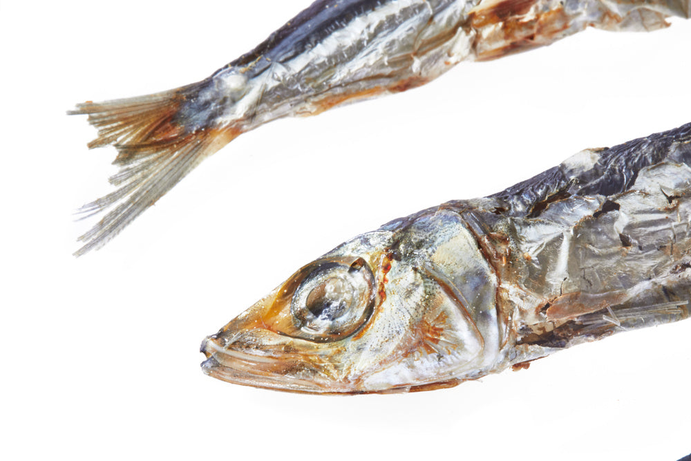 Little Fishies - Chrunchies