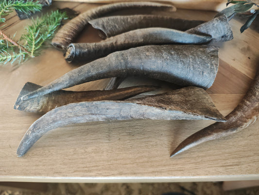 Goat Horns