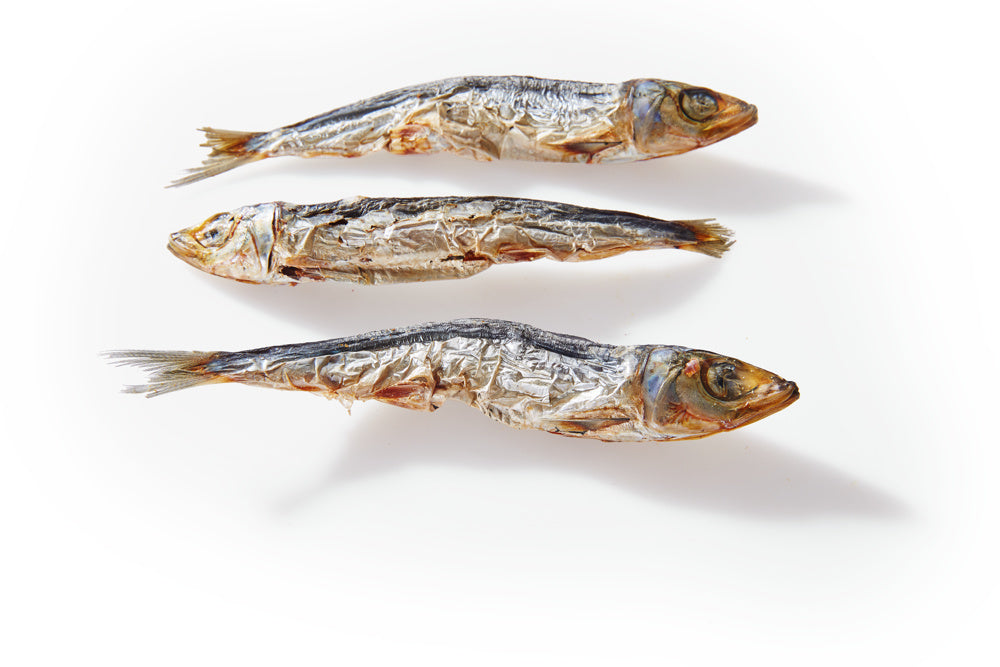 Little Fishies - Chrunchies