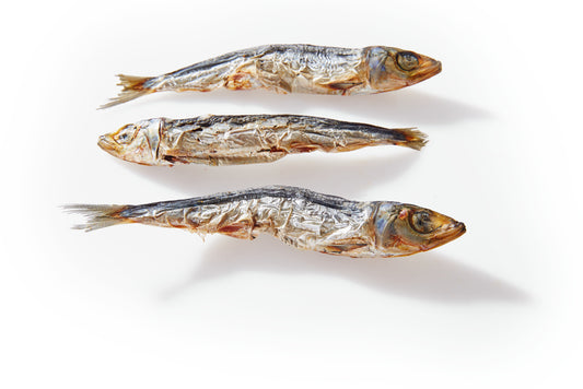 Little Fishies - Chrunchies